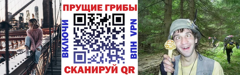 цена наркотик  Плавск  Галлюциногенные грибы Psilocybe 